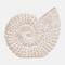 Kingston Living Ceramic Coastal Shell Tabletop Decoration - 7" - White